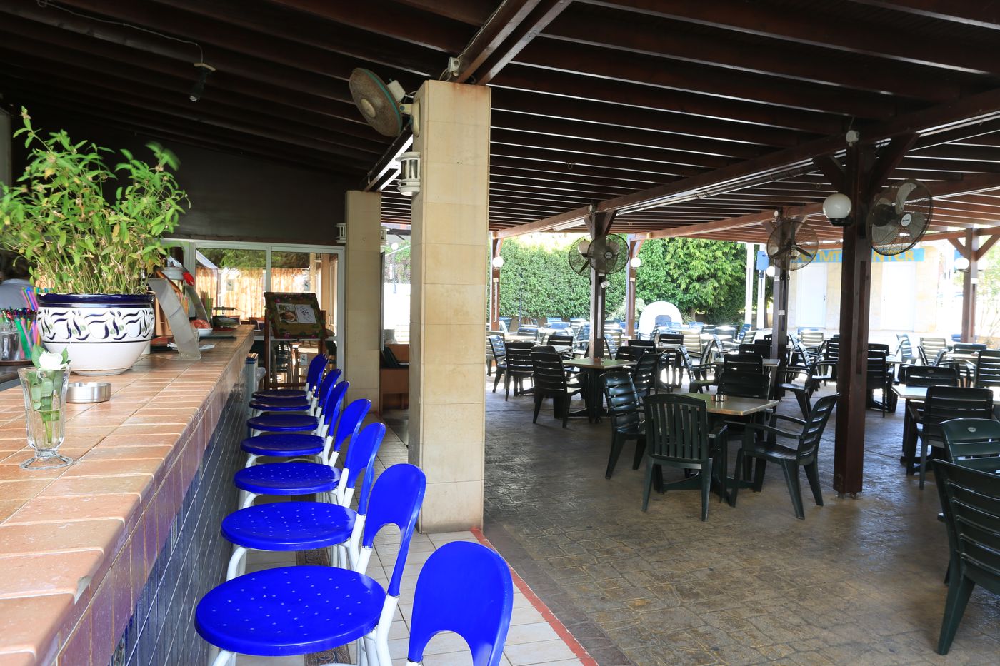 Pantelia - Jacaranda