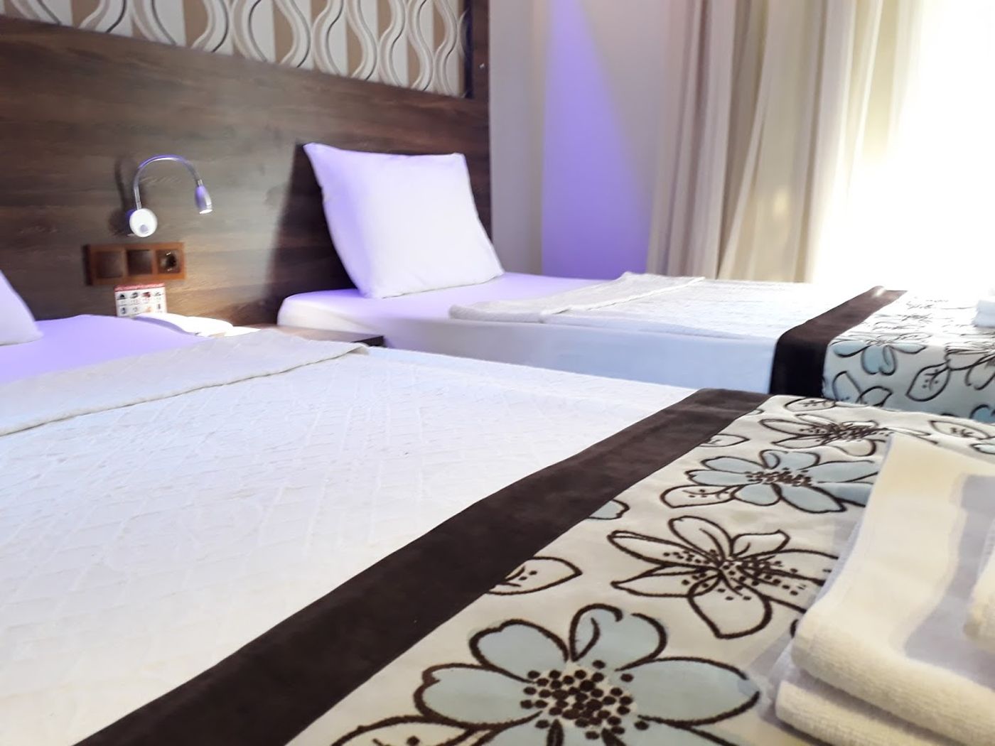 Dolphin-Apart-Room-25