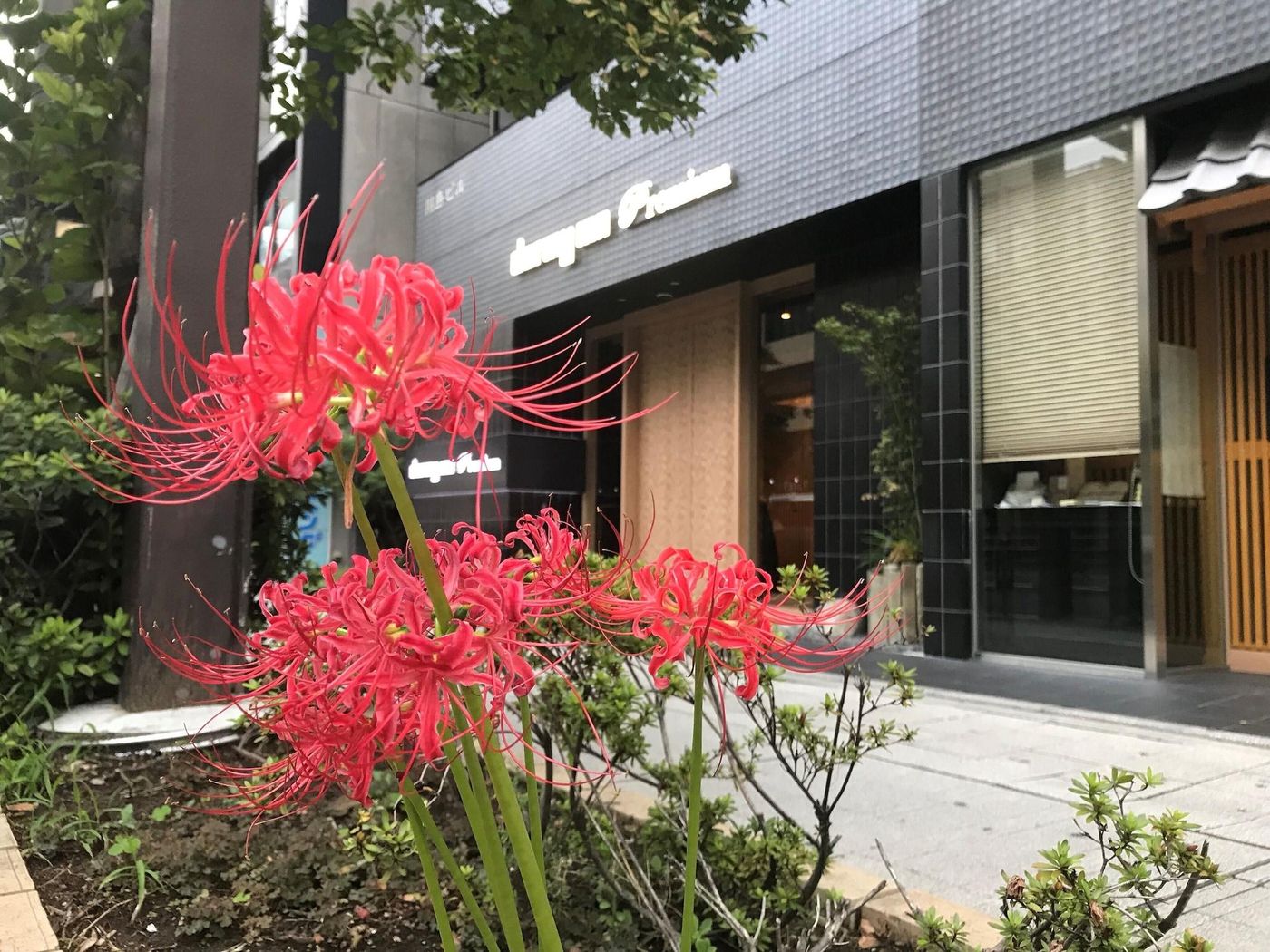 Dormy Inn Premium Tokyo Kodenmacho-Japan-Tokyo-General view-8