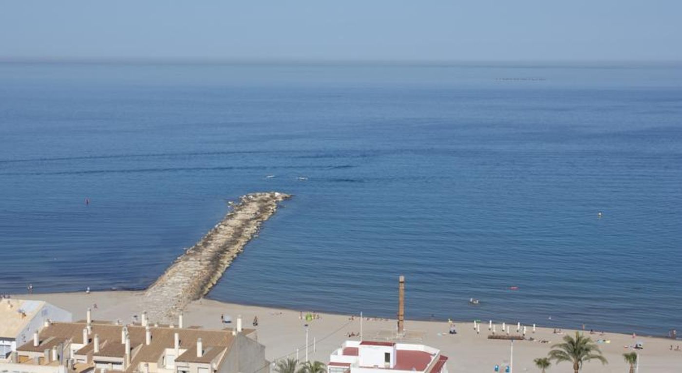 La Familia Gallo Rojo