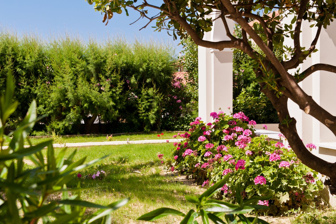 Klelia Beach Hotel by Zante Plaza