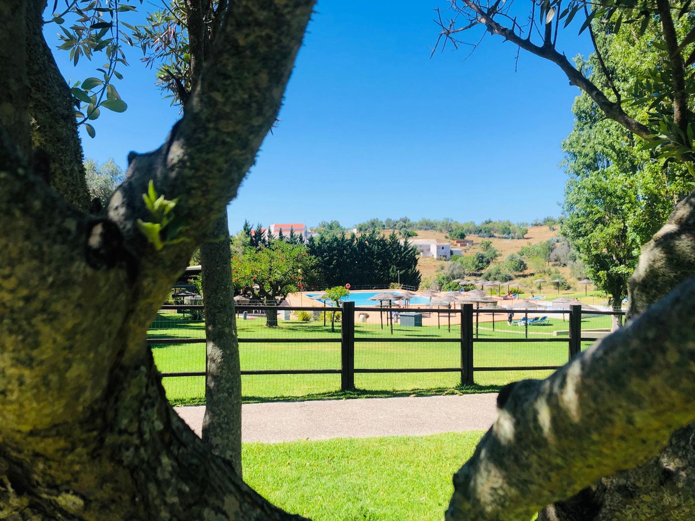 VitaSol-Park-General-view-43