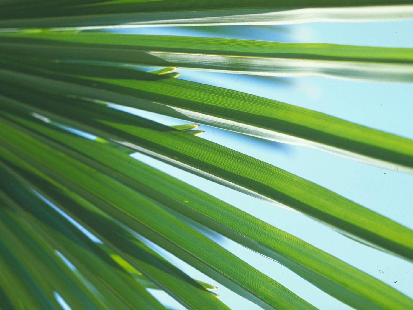 Novotel-Setubal-Room-73