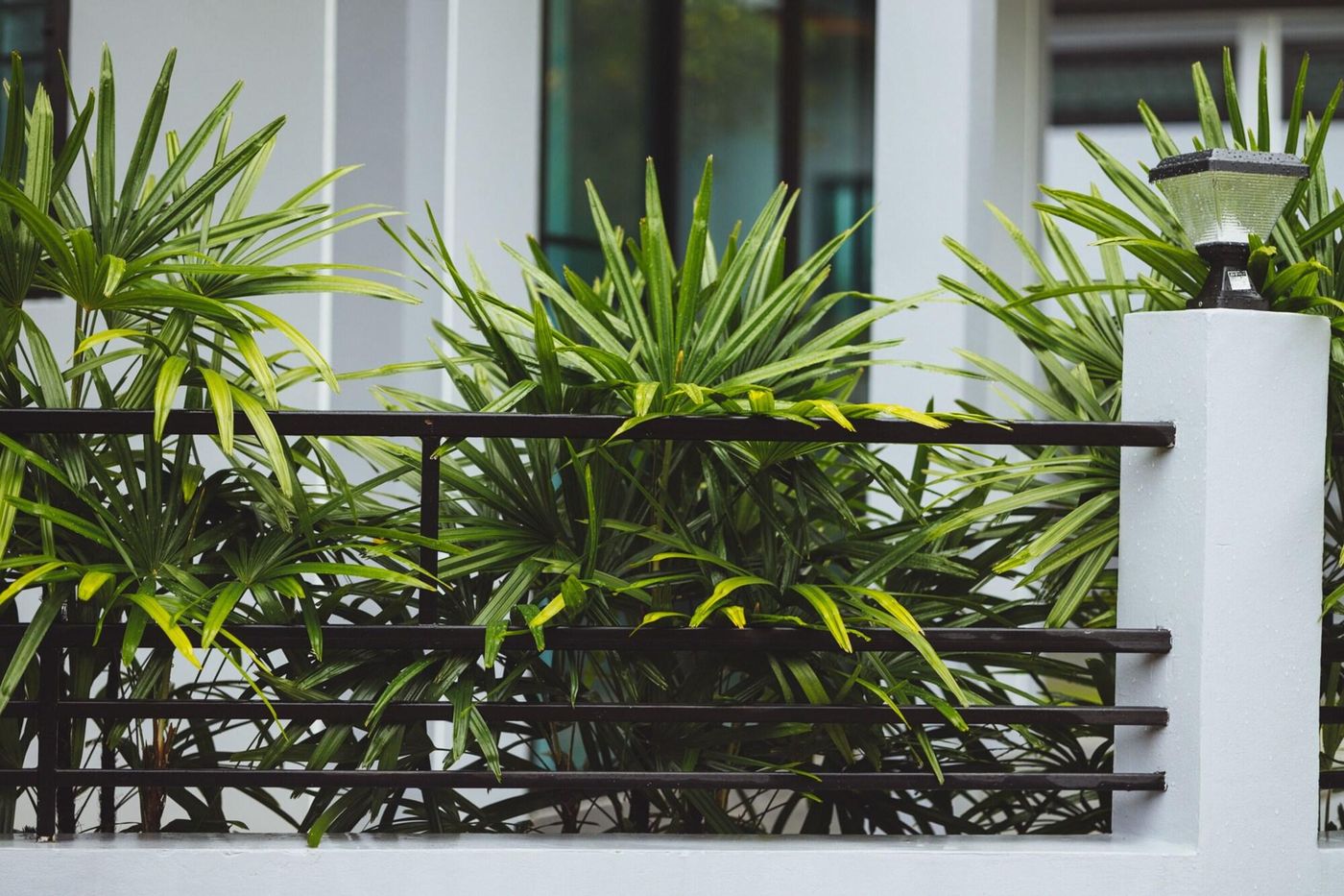 Baan Nern Khao Resort-Thailand-Banglamung-General view-4