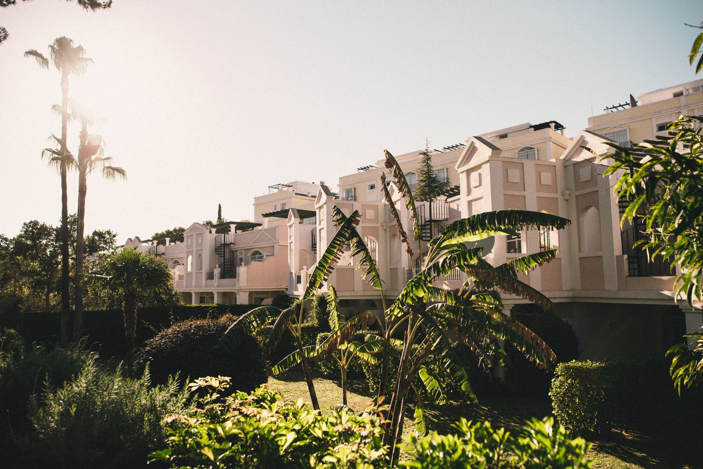 Aloha-Gardens-General-view-11