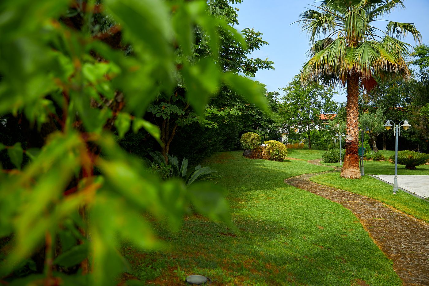 Clorinda-General-view-7