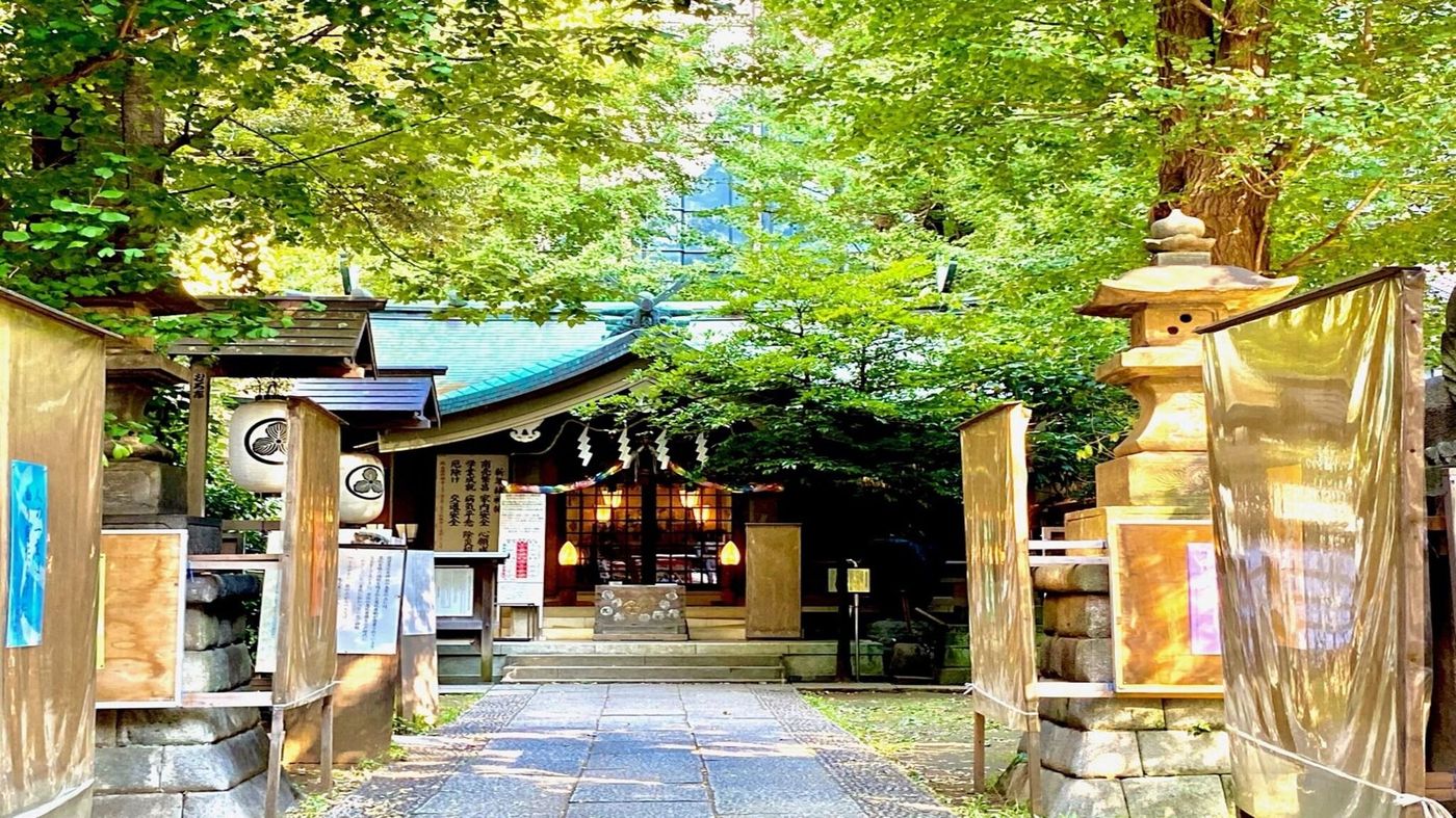 Toyoko Inn Tokyo Shinjuku Kabuki-cho-Japan-Tokyo-General view-9