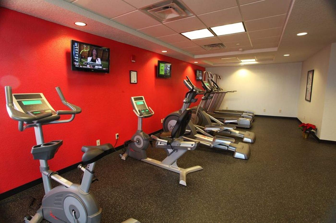 Pier House 60 Marina Hotel