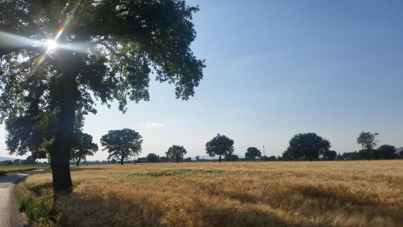 Bed And Breakfast Le Rose-Italy-SPELLO-General view-8