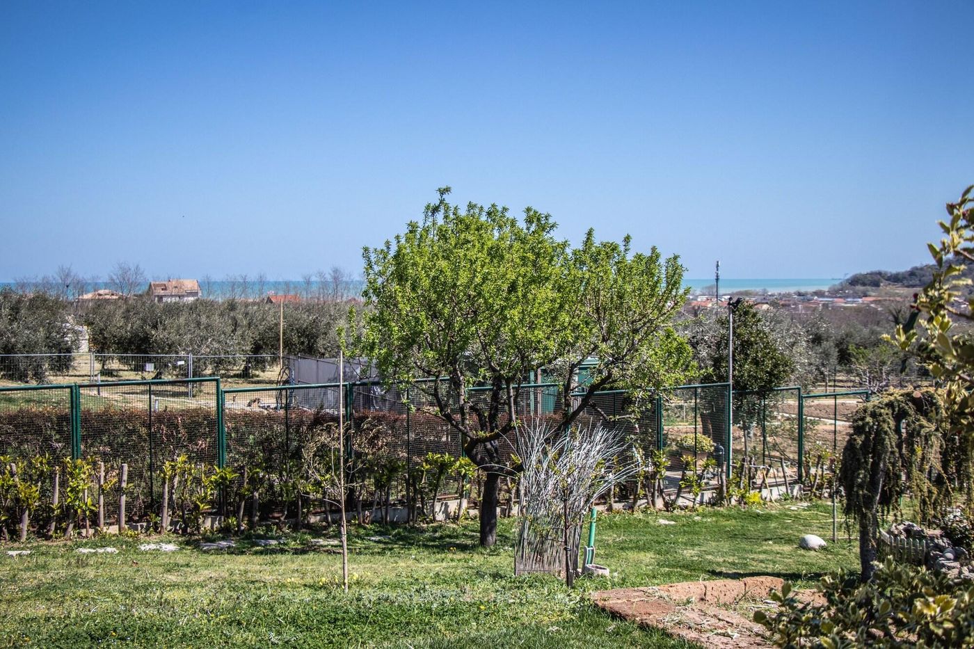 Villa Paola-Italy-FRANCAVILLA AL MARE-General view-4