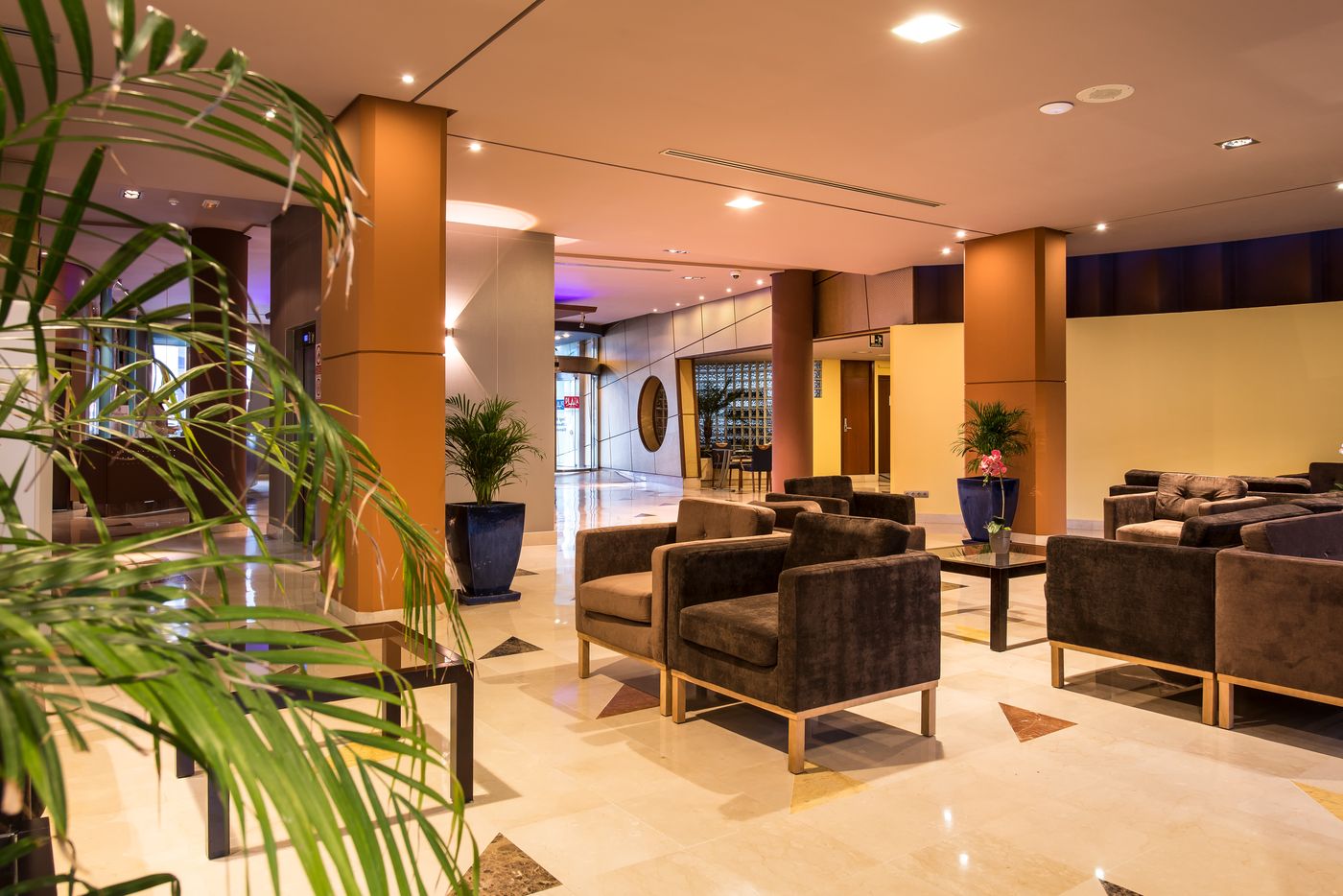 GF Benidorm Plaza Hotel