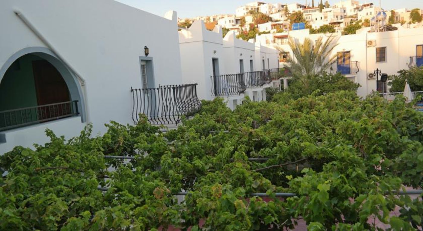 Dilek Hotel & Apartments