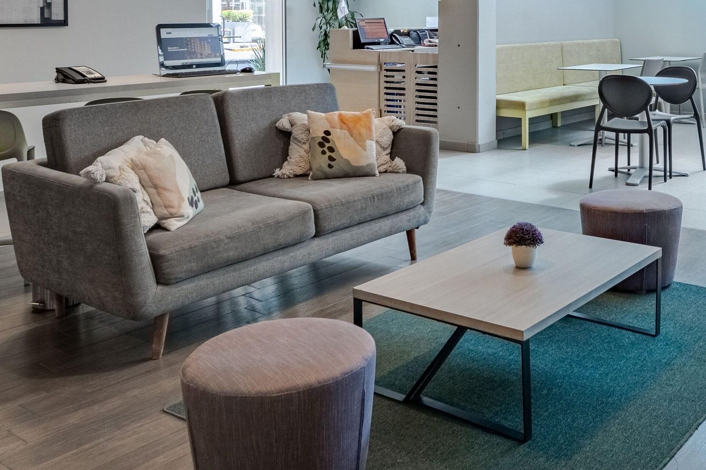 City Suites Anzures-Mexico-Ciudad De Mexico-Lobby-7