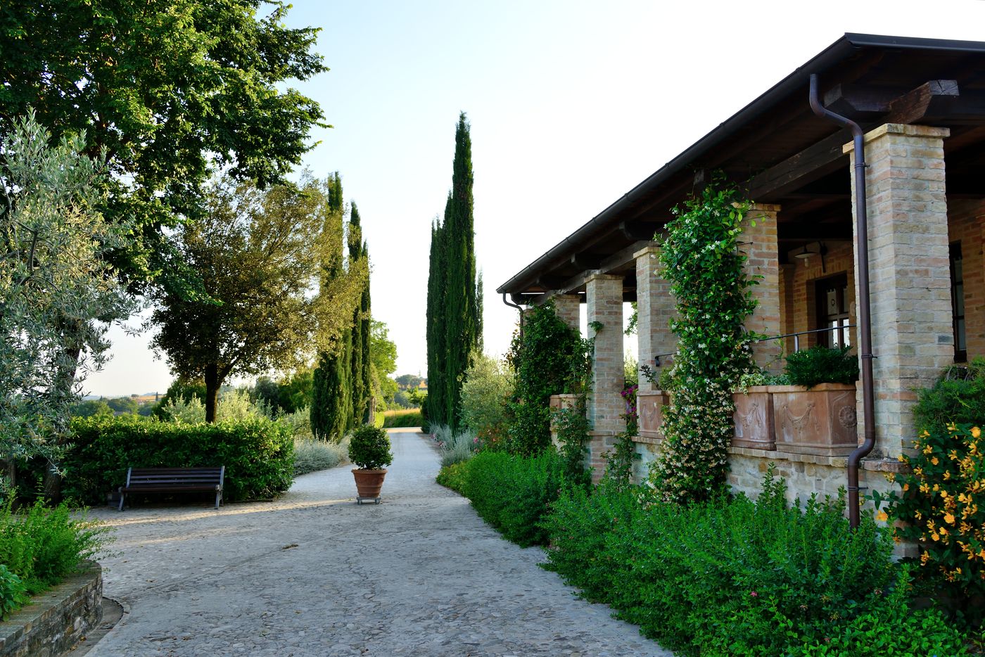 Ripa Relais (Colle del Sole)-Italy-RIPA - ASSISI-General view-7