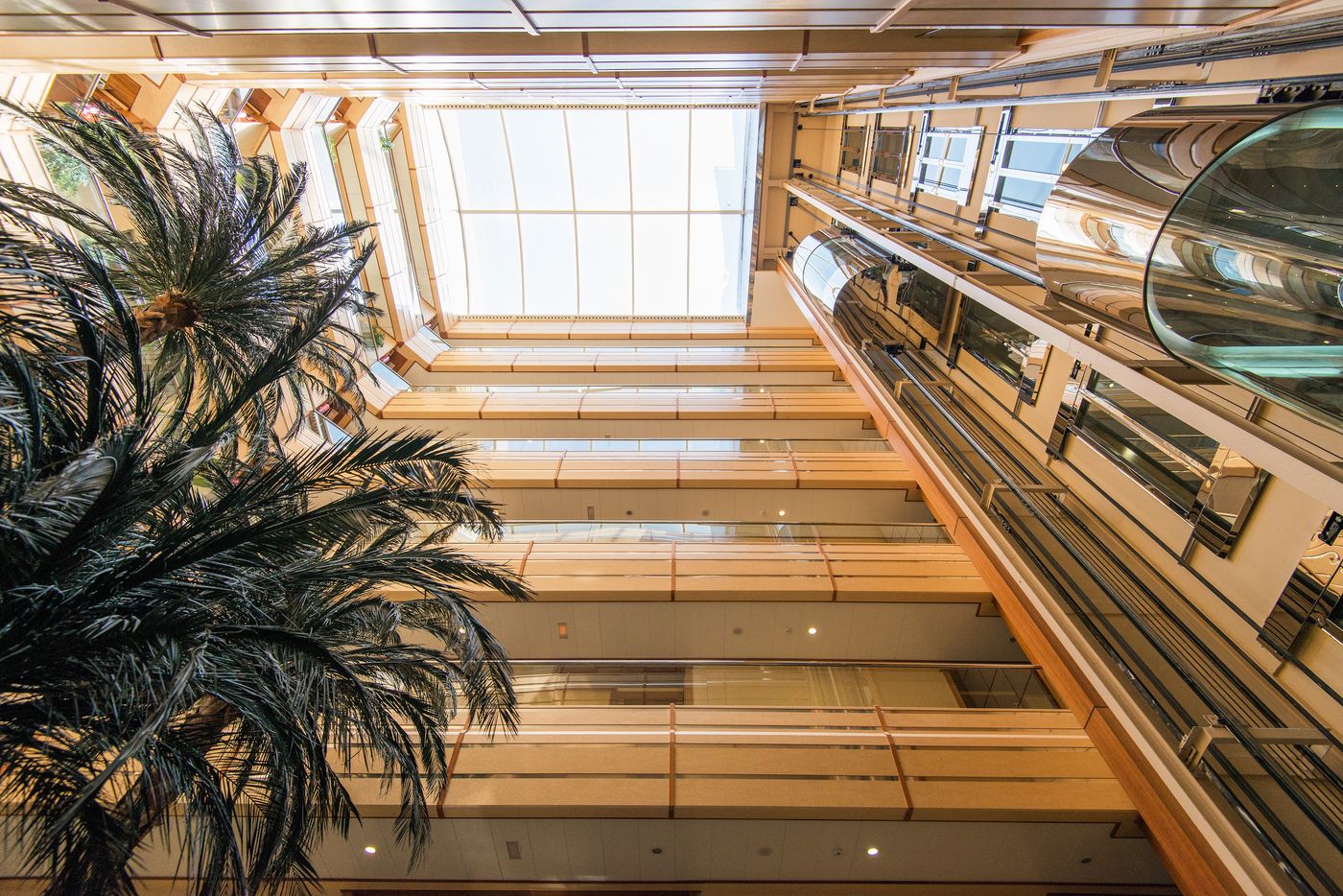 VP Jardin Metropolitano - Spain - MADRID - Lobby - 6