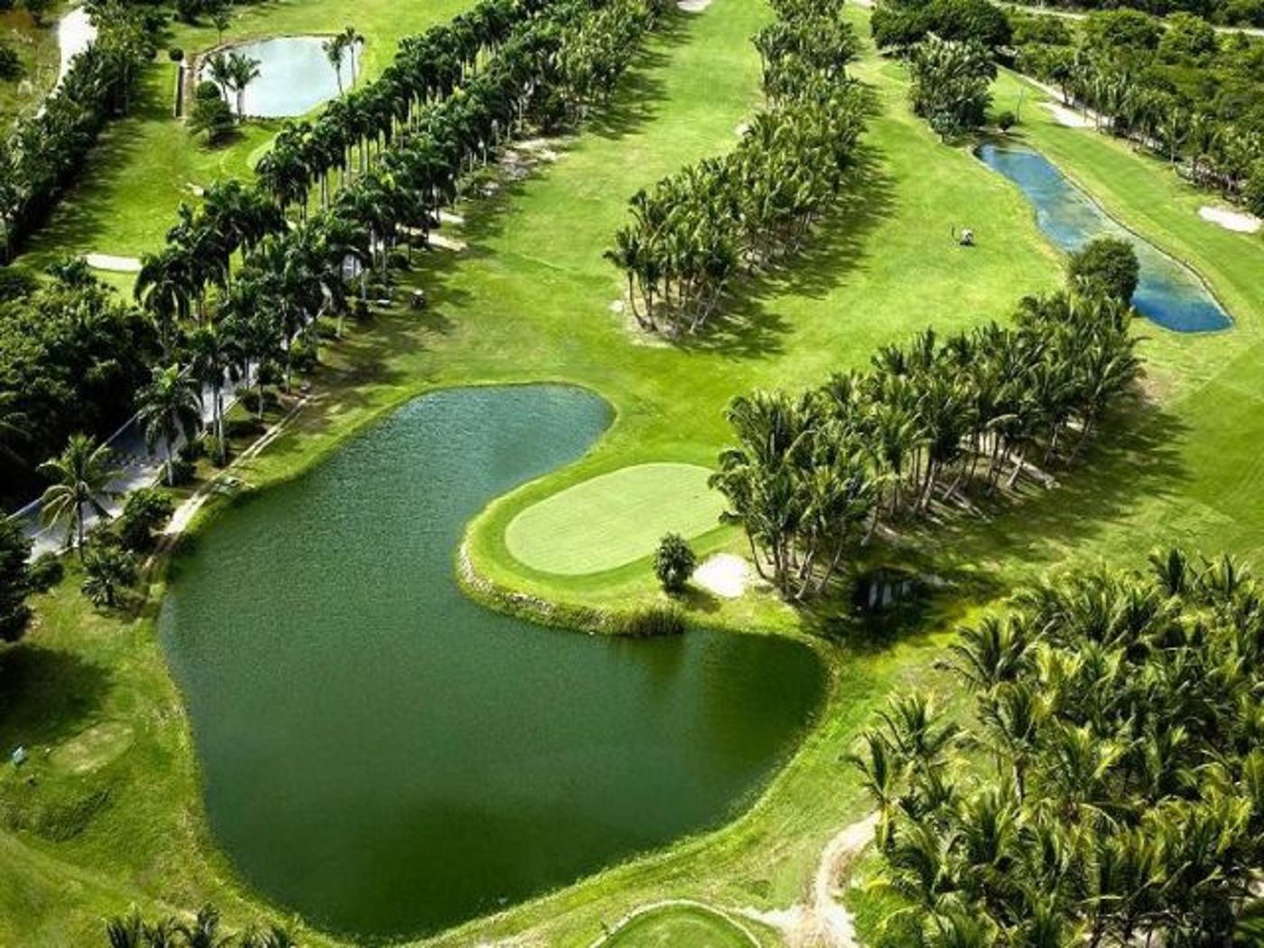 Catalonia Bavaro Resort