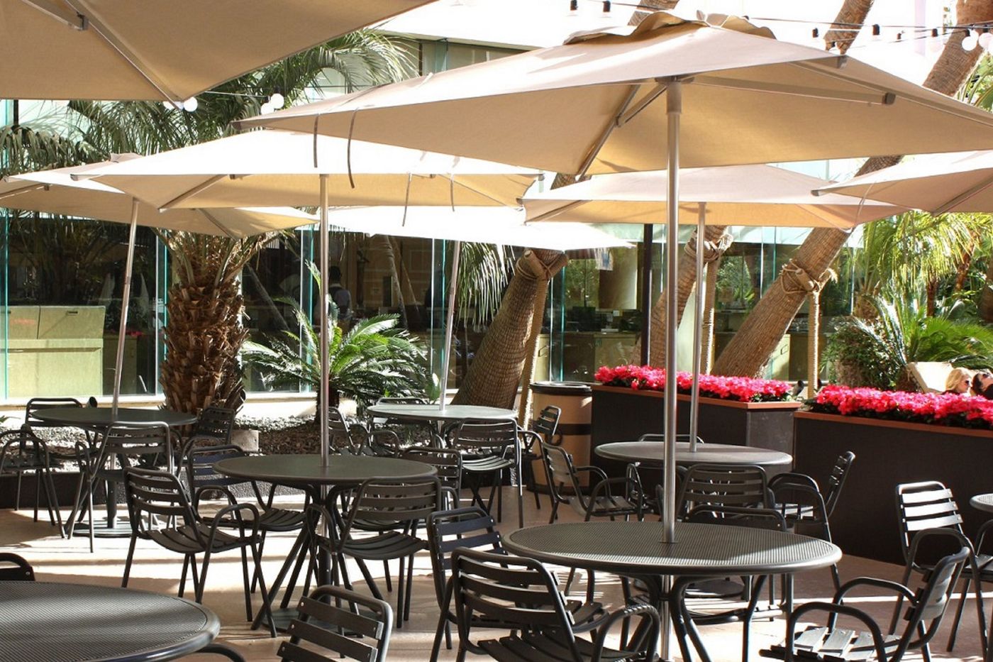 Treasure-Island-Restaurant-32