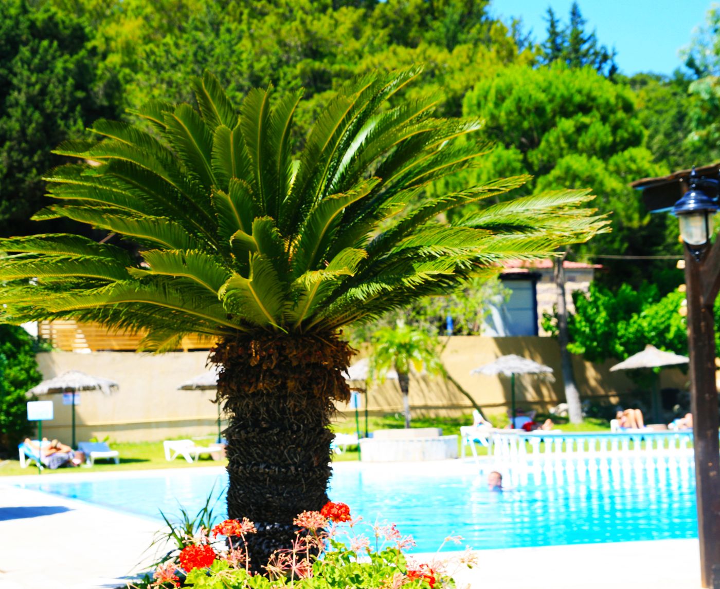 Achousa-Hotel--Terrace-6