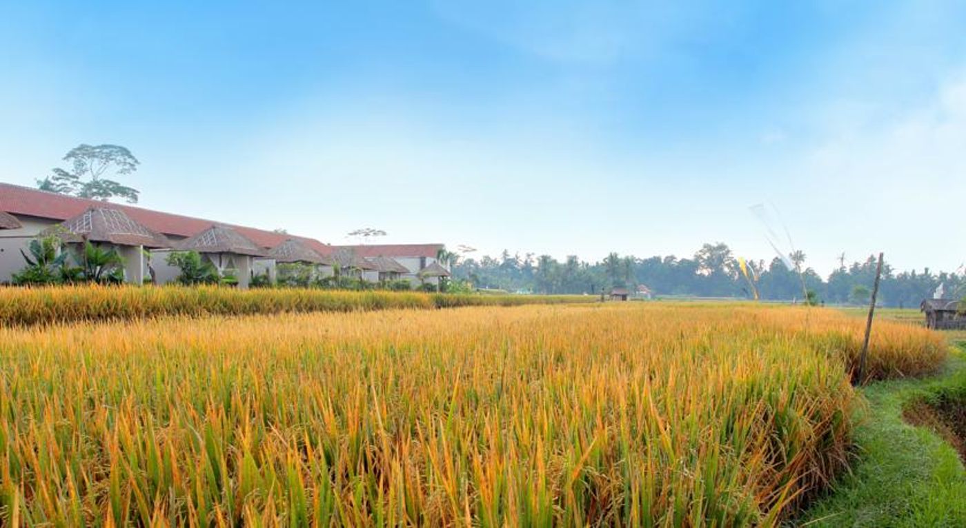 Alam Puisi Villa-Indonesia-Bali-General view-10