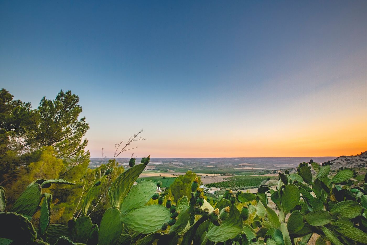 Kallikoros-Hotel-Spa-and-Resort-Restaurant-66