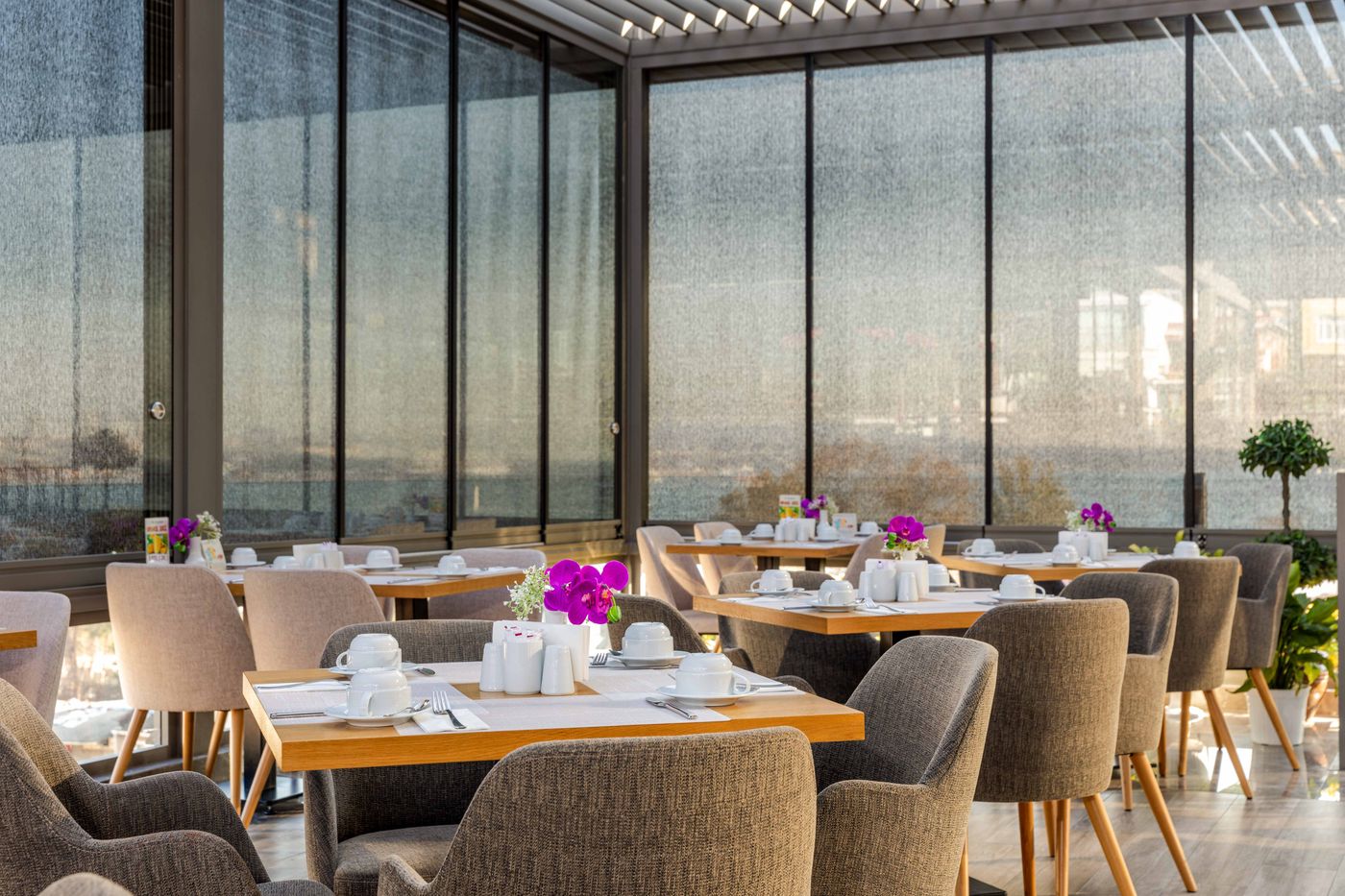 Amiral-Palace-Terrace-19