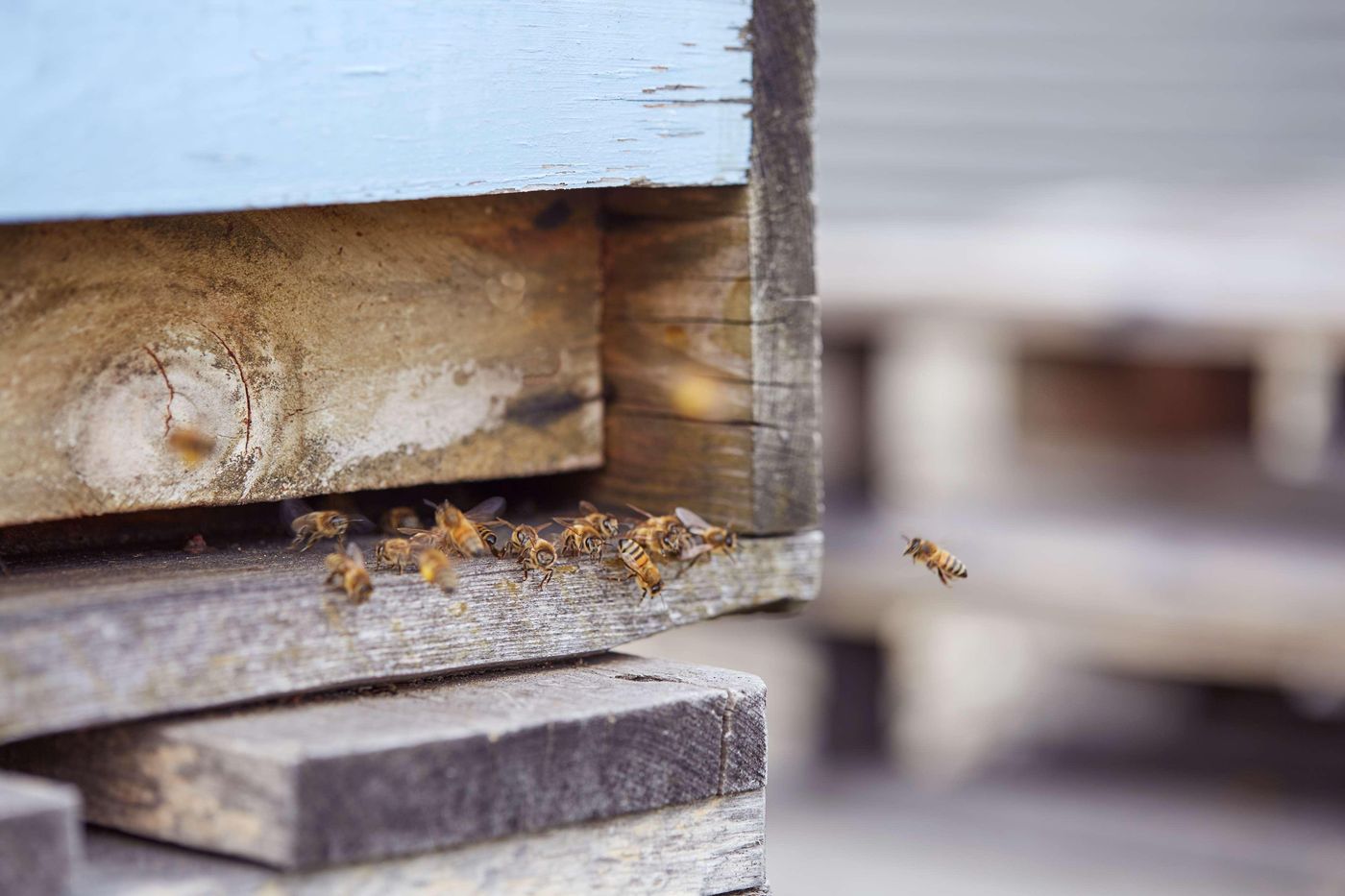 Scandic-Berlin-Potsdamer-Platz-General-view-66