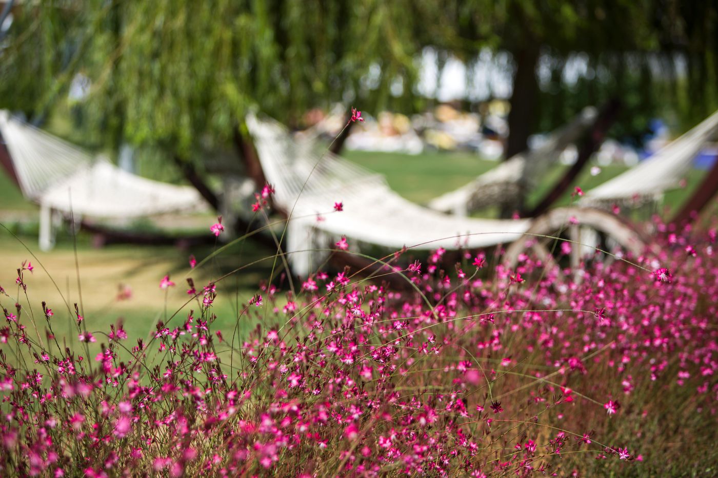 TUI-Blue-Xanthe-General-view-28