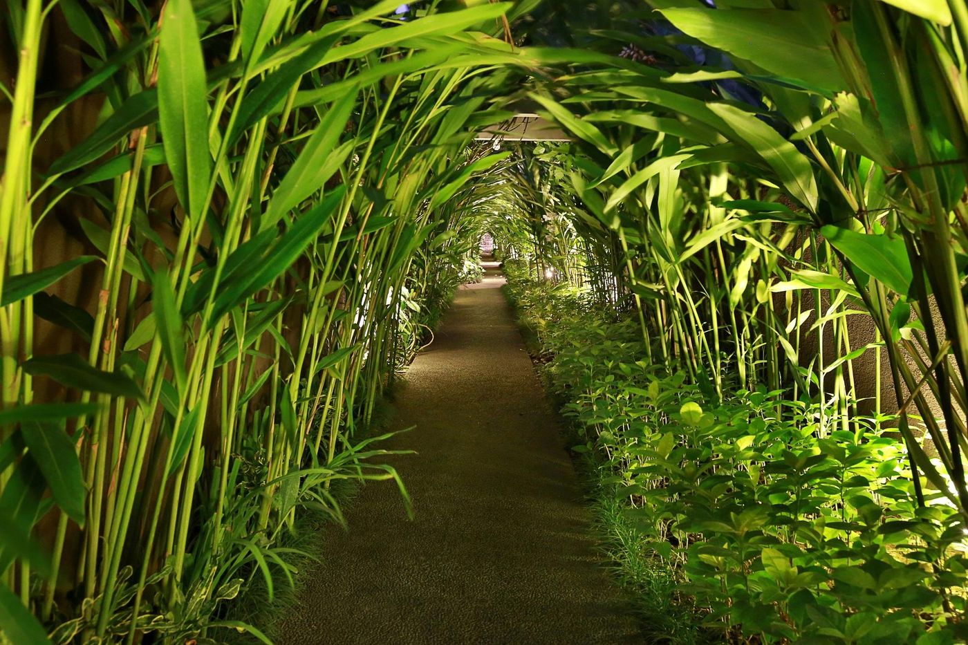 Ziva A Boutique Villa-Indonesia-BALI-General view-1