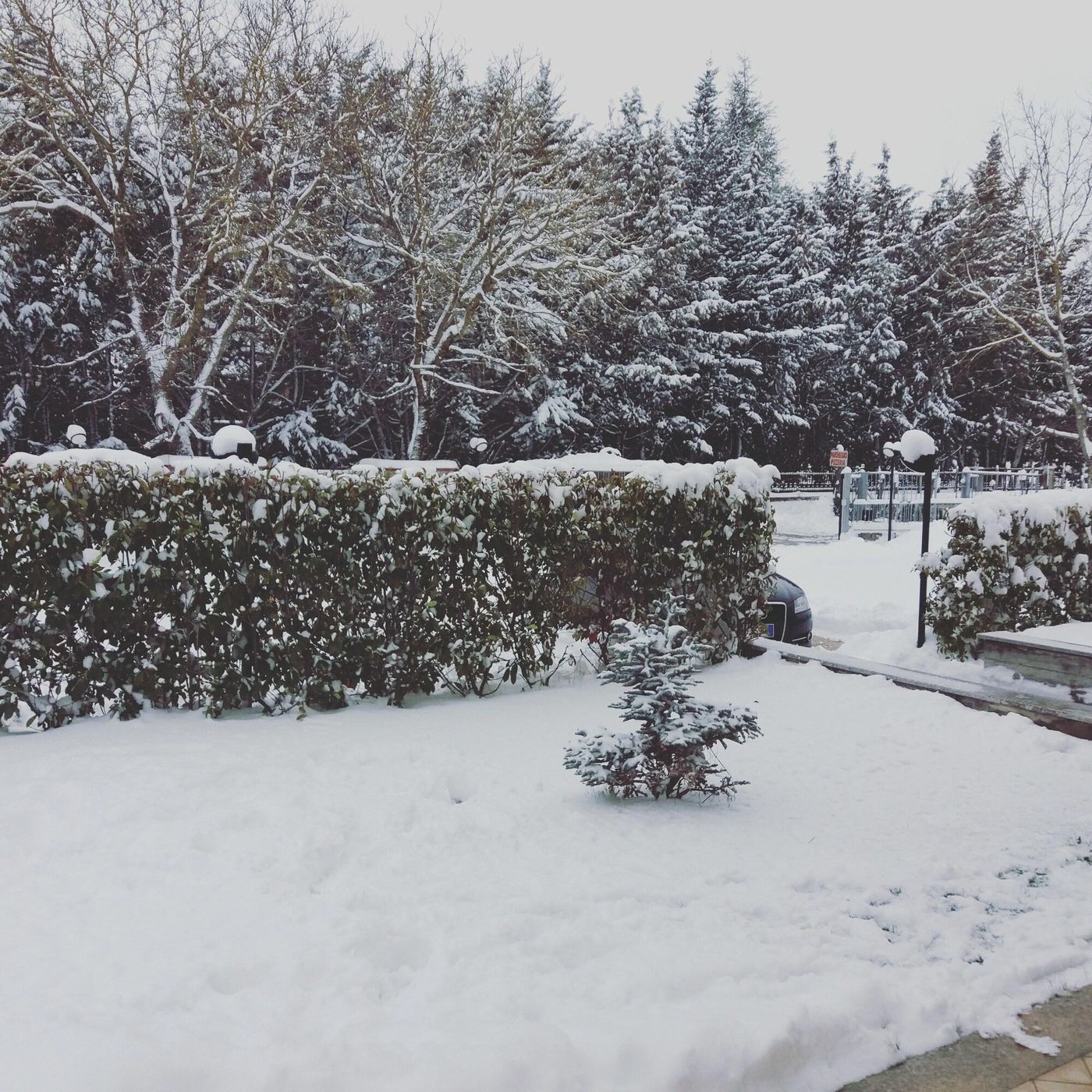 Affittacamere-Il-Boscaiolo-General-view-20