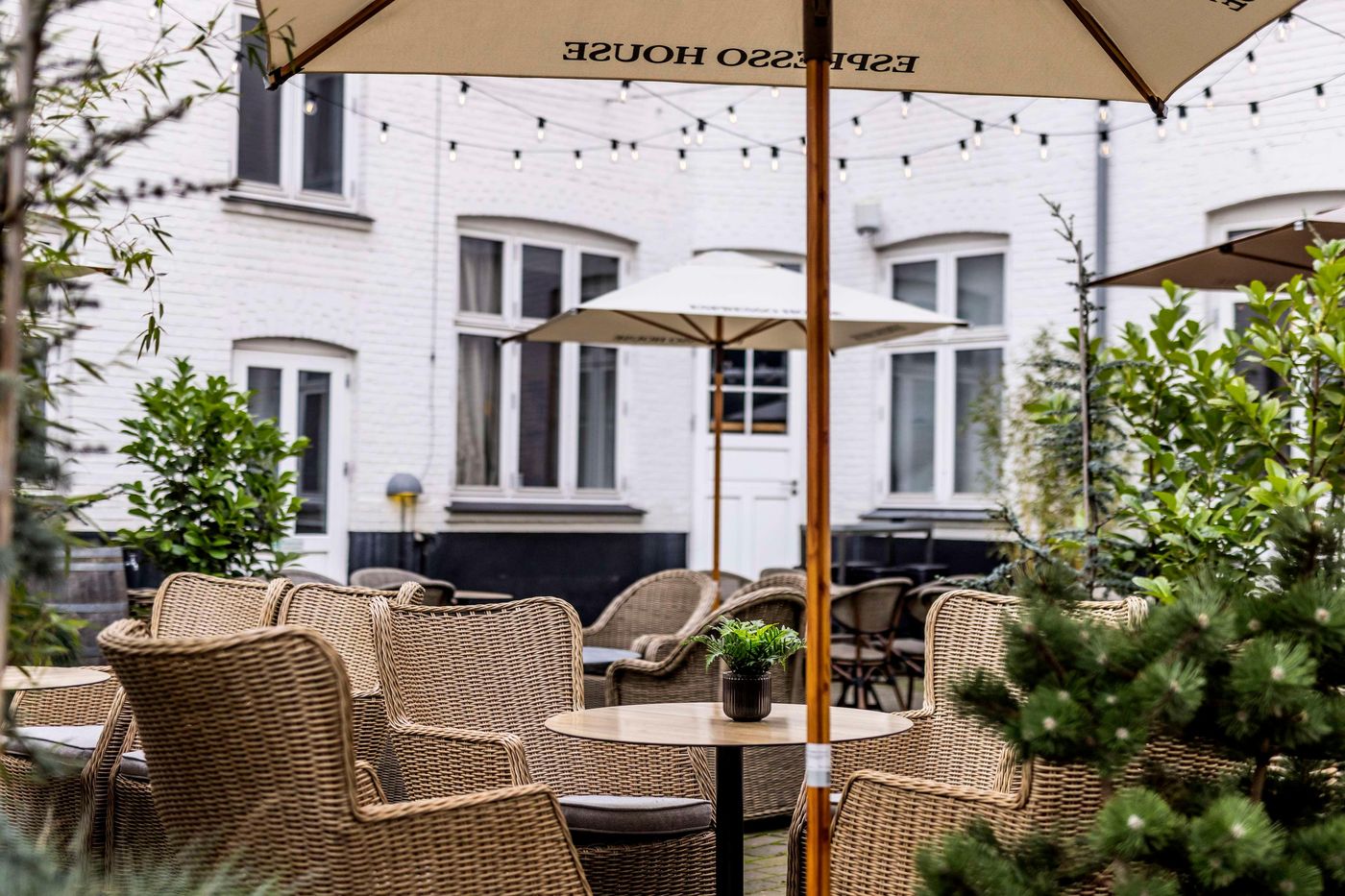 Scandic-Webers-General-view-46