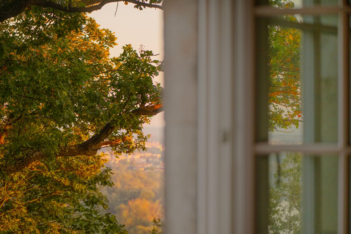 Zinar-Castle-Krakow-Room-46