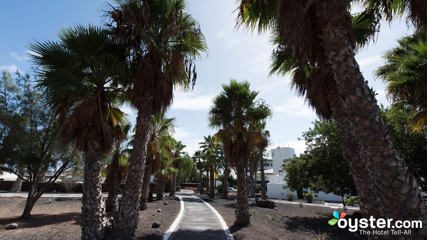 Palmeras-Garden-General-view-83