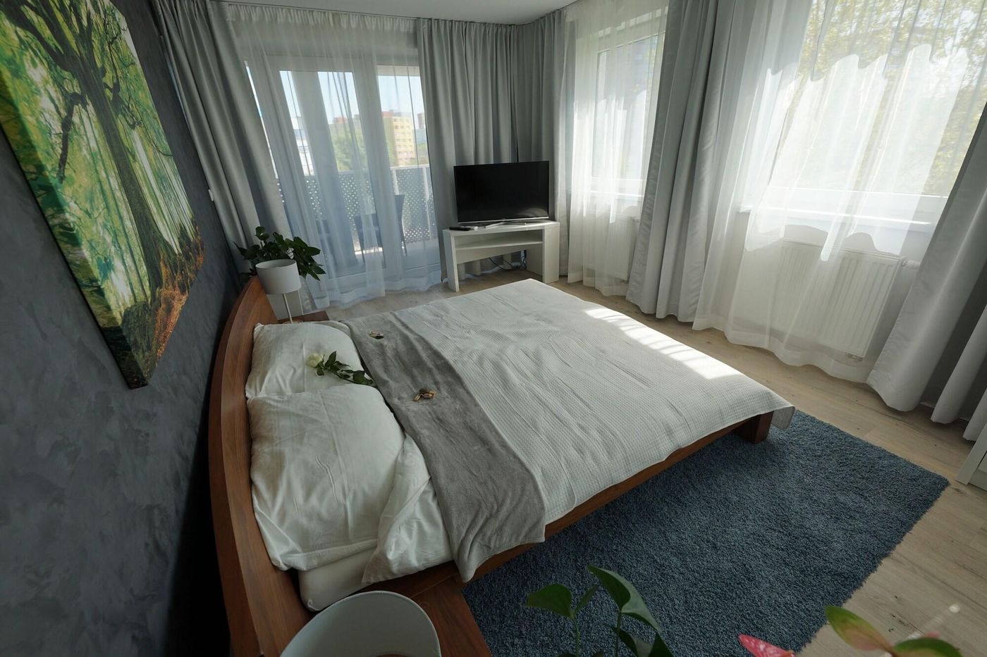 More Than Hotel & Accommodation-Slovakia-Bratislava-Room-7