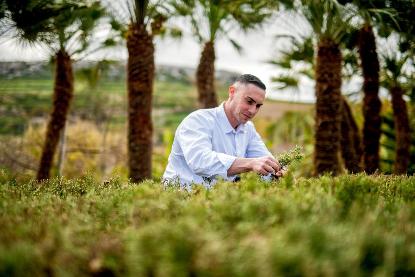 Kempinski-Hotel-San-Lawrenz-General-view-25