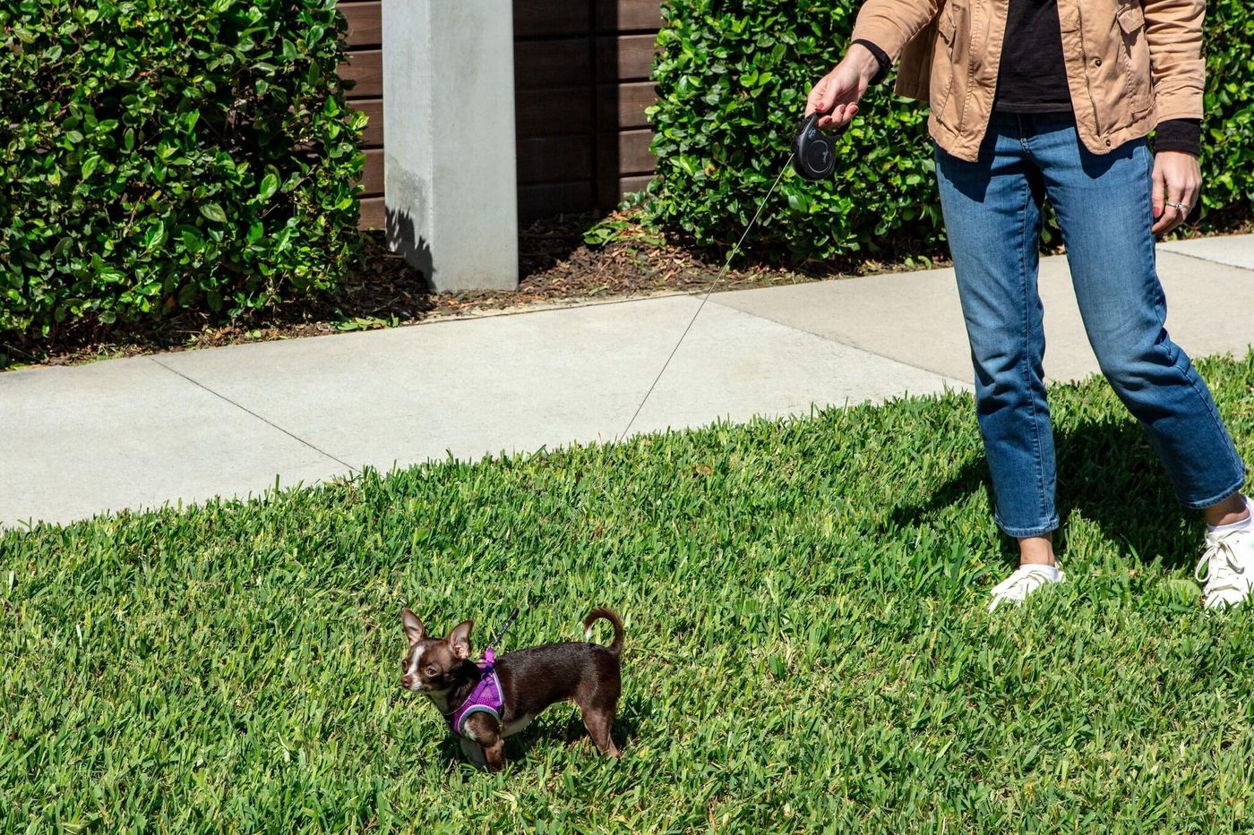 Element Orlando International Drive-United States-Orlando-General view-10