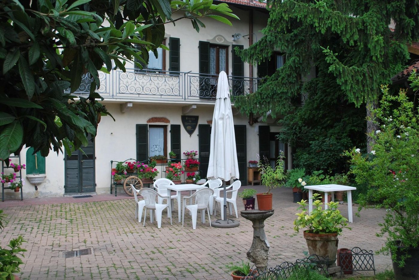 La Curandera - Italy - ROSTA - General view - 6