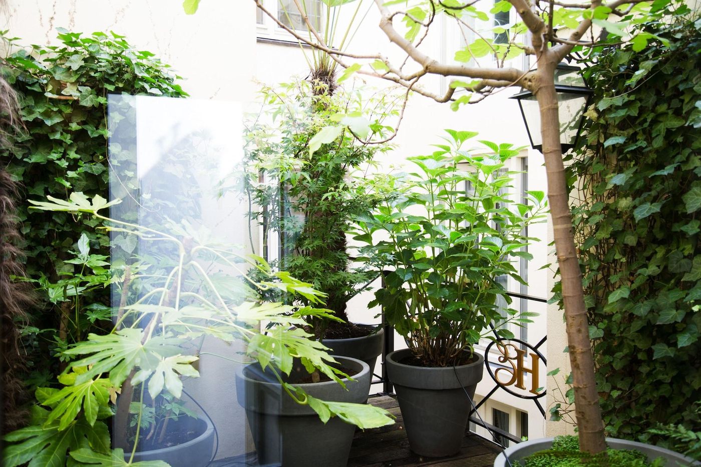 Estherea-General-view-56