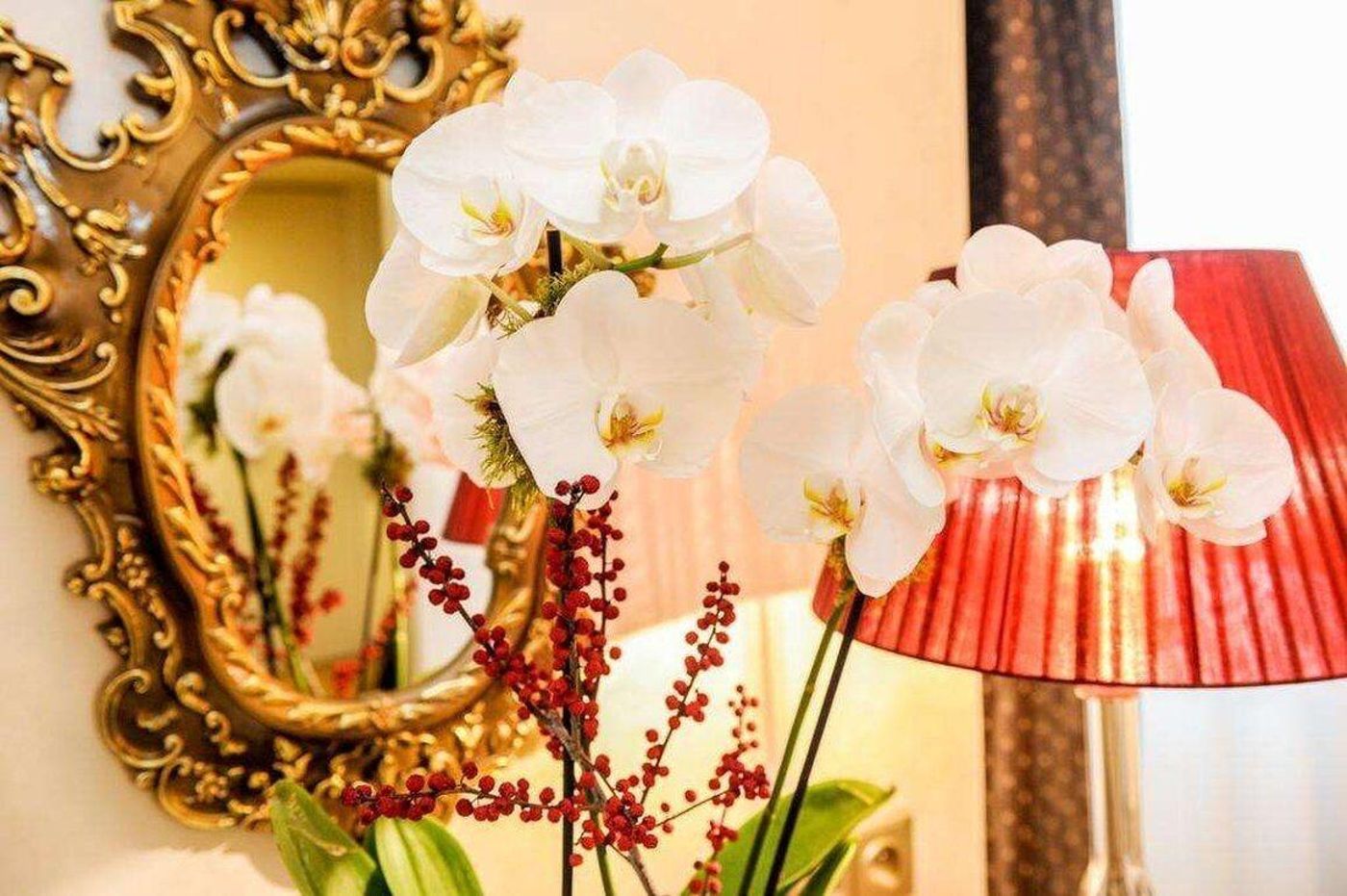 Myo-Hotel-Mysterius-Room-23