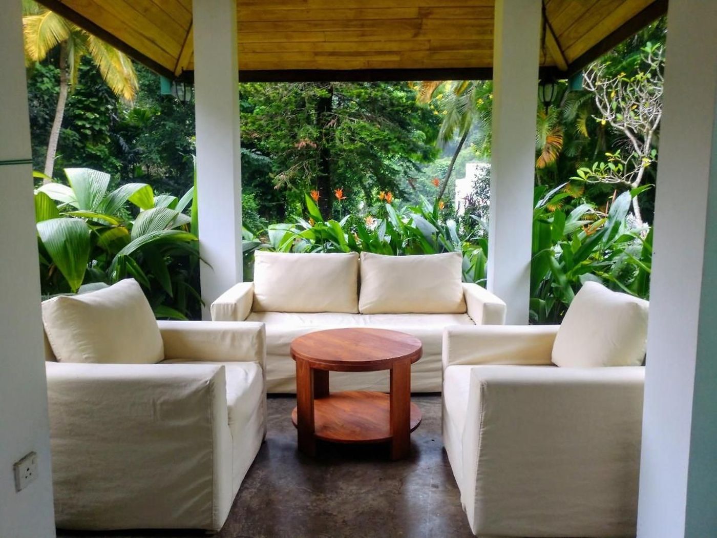 Sweet-Cinnamon-General-view-12