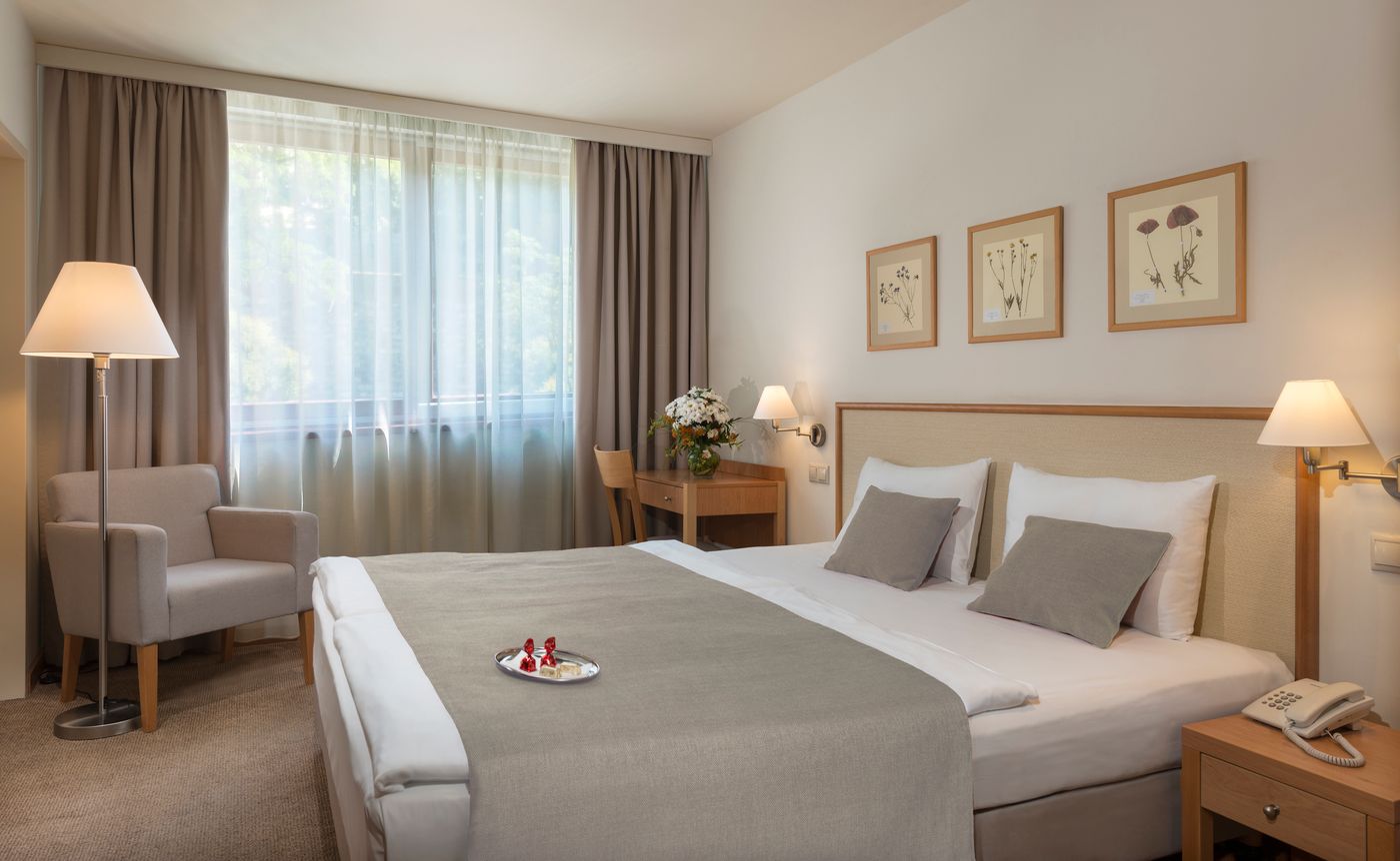 Hotel-Castle-Garden-Room-8