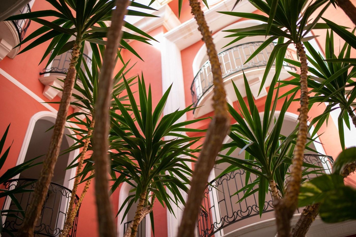 Sighientu-Village-Lobby-34