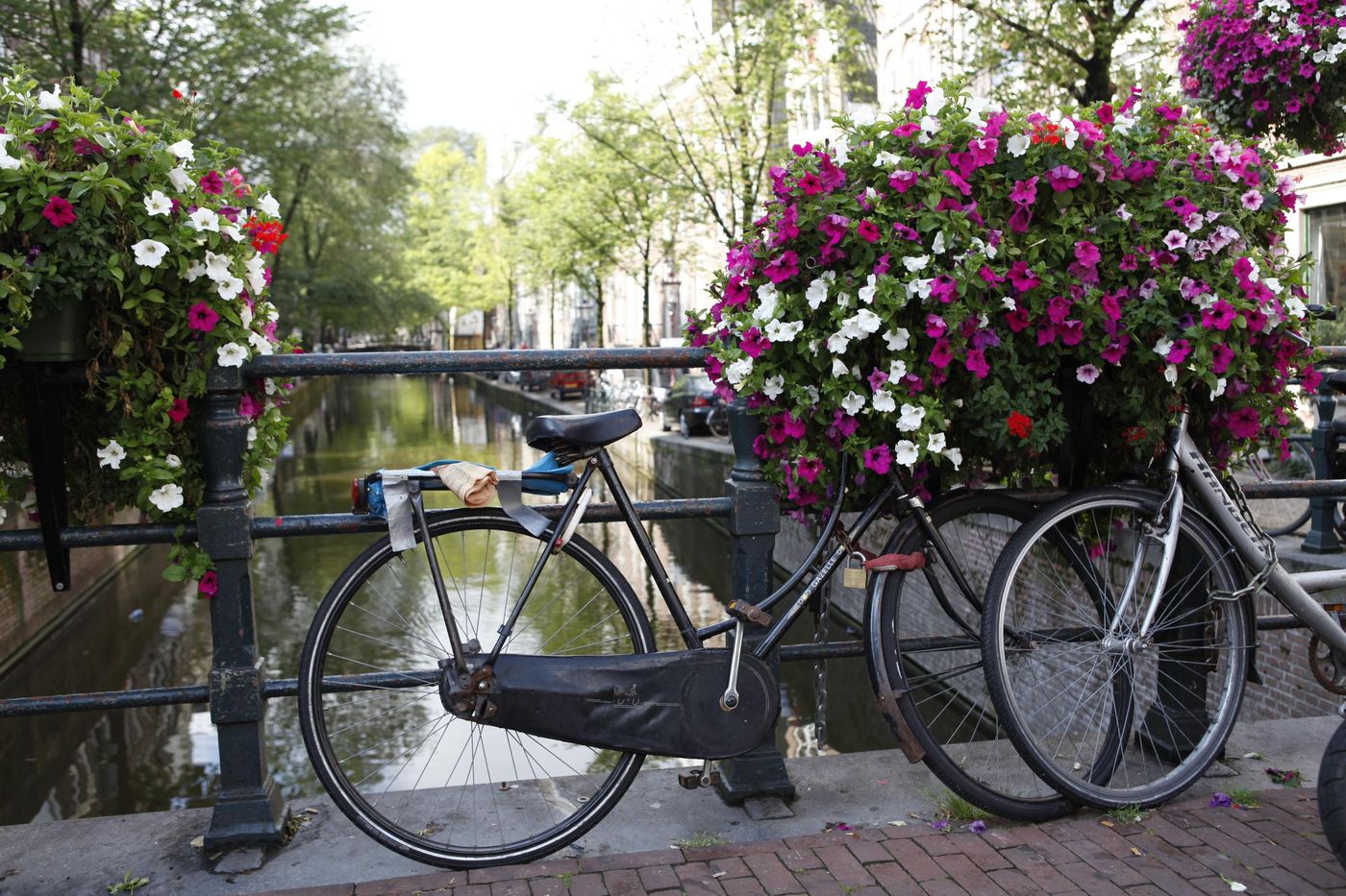 Hotel Damsquare-Netherlands-AMSTERDAM-General view-7