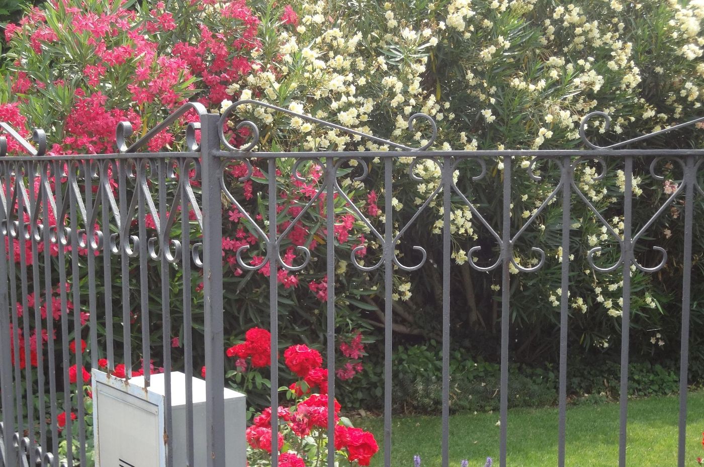 Villa Noce - Guest House-Italy-BRESCIA-General view-2