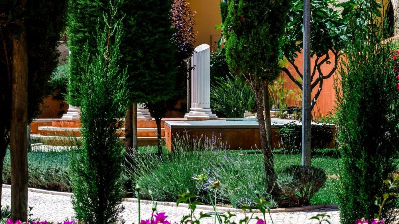 Baia-da-Luz-General-view-23