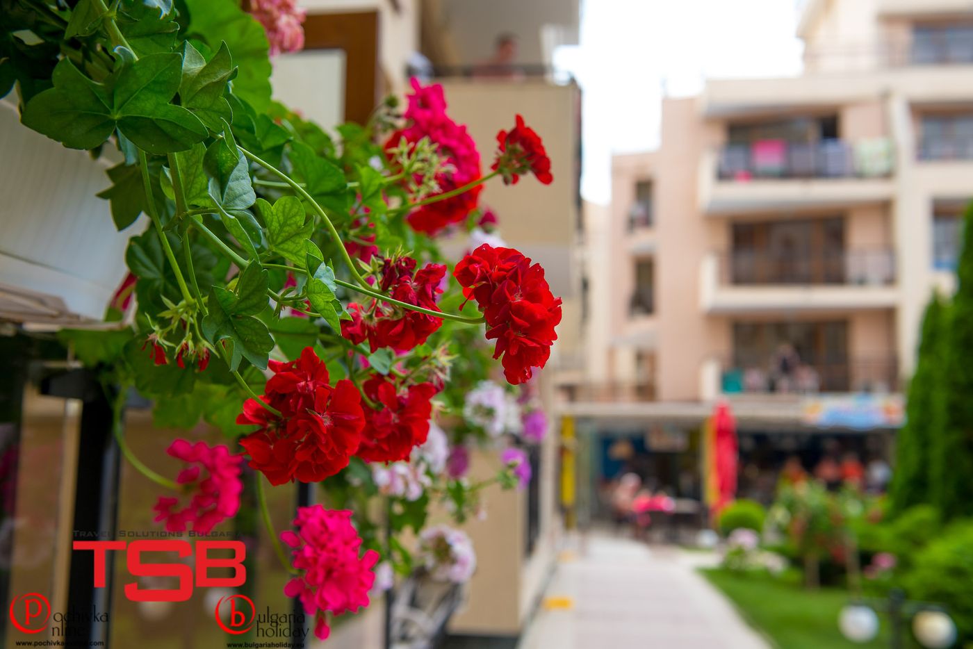 Sunny-Victory-Apartments-General-view-20