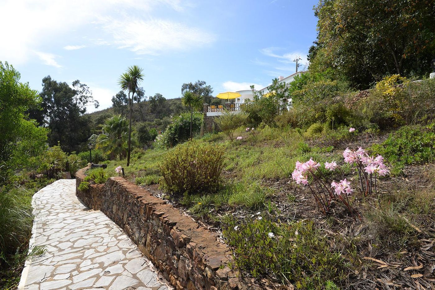 Moinho-da-Asneira-General-view-60