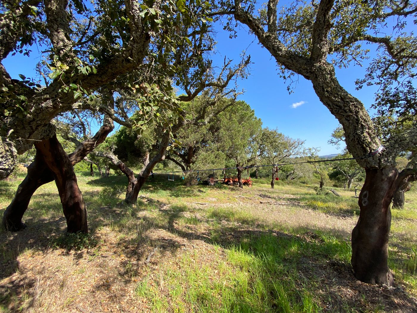 Monte do Zambujeiro-Portugal-VILA NOVA DE MILFONTES-General view-8