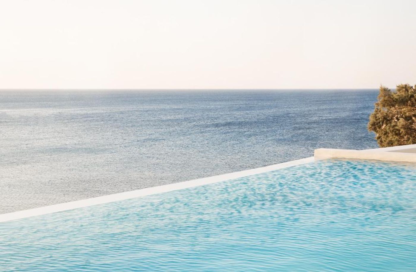 The-Wild-By-Interni-General-view-62