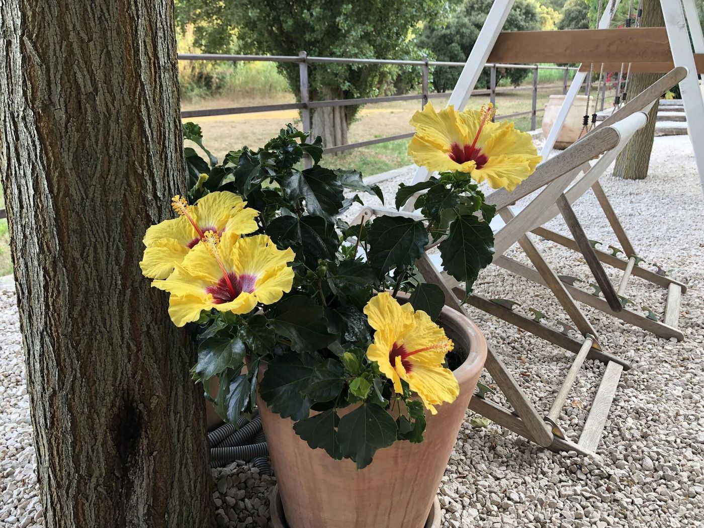 Le-Clos-Des-Sept-Palmiers-General-view-20