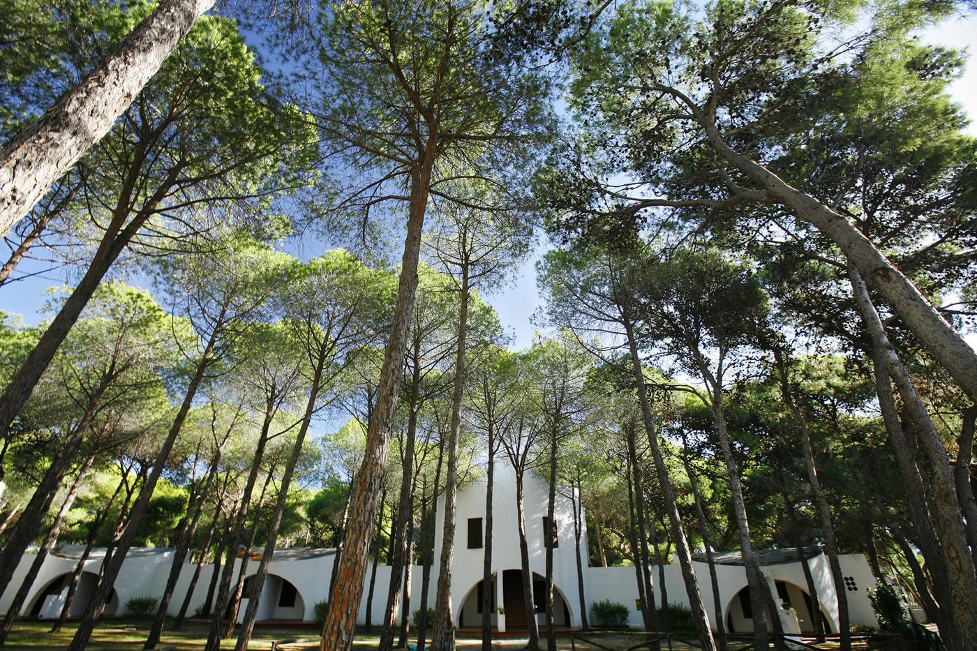 Hotel-Mare-Pineta-Sports-and-Entertainment-4